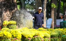 Hội hoa xuân Tao Đàn lần thứ 44: Cá chép hóa rồng, TP.HCM phồn thịnh, phát triển