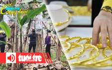 Điểm tin 18h: Chuối Tết giá bạc triệu; Người Việt giảm mua vàng