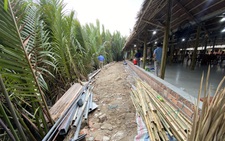 Khẳng định dân Hội An không phá rừng, phóng viên dẫn tới hiện trường, chủ tịch xã sốc