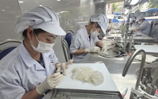 Phải cho thế giới biết chất lượng yến sào Cần Giờ