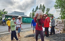 Giá lúa đông xuân nơi tăng nơi giảm