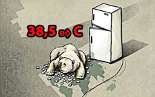 Tin nổi không: Nam Cực vừa nóng thêm 38,5 độ C!