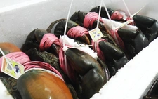 Cua Cà Mau tăng 30.000 - 200.000 đồng/kg trong dịp lễ