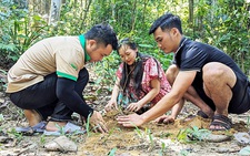 Trả tiền để được trồng cây