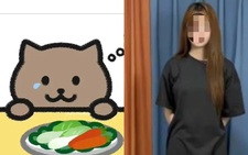 Sự thật nào sau câu chuyện đau thương của game thủ Mèo Béo?