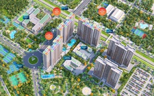 Xu hướng chọn trường học cho con trước khi chọn nhà
