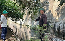 Vựa chế biến trái cây gây ô nhiễm khiến người dân bức xúc