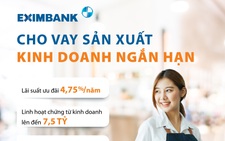 Mở rộng cơ hội vay vốn sản xuất, kinh doanh và tiêu dùng