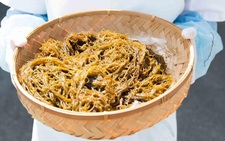 Lợi ích của chất Fucoidan từ tảo nâu đối với sức khỏe