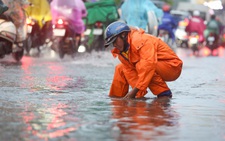 TP.HCM mưa to, cây bật gốc, còn mưa đến tối toàn thành phố