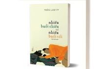 Nhiều buổi chiều và nhiều buổi tối: Những trang viết của tuổi trẻ xa lạ