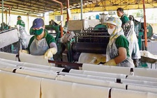 40 năm cao su và sứ mệnh phát triển kinh tế vùng Tây Nguyên