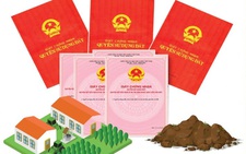 Các trường hợp nào không cấp giấy chứng nhận quyền sử dụng đất từ 1-8-2024?