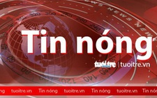 Gia tăng số ca bị thương do rắn và các động vật khác có nọc độc cắn trong mùa mưa bão