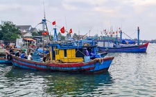 Đề nghị Trung Quốc và Philippines cho tàu cá Việt Nam vào trú, tránh siêu bão số 3
