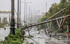 Chạy đua cấp điện trở lại