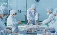 Xuất khẩu cháo tươi từ gạo ST25 sang Mỹ
