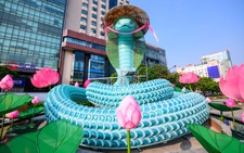 Đường hoa Nguyễn Huệ Tết dần lộ diện, du khách thích thú nàng Tỵ 'con gái miền Nam'