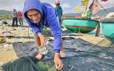 Chong đèn thâu đêm săn tôm hùm giống