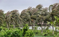 Tropical depression or storm may form in East Vietnam Sea early November