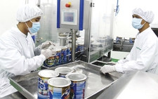 Vietnamese milk brand makes strides on global map