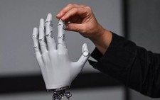 Rise of the robots: the promise of physical AI
