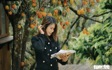 Visitors enchanted by persimmon gardens in Vietnam’s Central Highlands