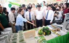 Green Vietnam Festival: Growing hub for green living in Ho Chi Minh City