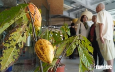 Visitors experience chocolate-making in southern Vietnam
