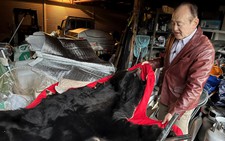 The roar that haunts him: Japanese bear attack survivor calls for ruthless response