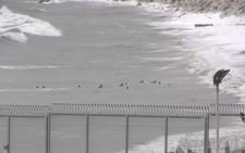 Three die as heavy seas batter Spanish island of Tenerife
