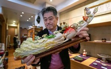 Japanese ivory trade attracts fresh global scrutiny