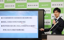 Japan unveils measures to tackle mass oyster deaths