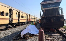 Seven elephants killed in India train accident