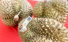 Vietnam launches national farm produce traceability system, pilots durian tracking