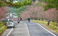 Breakfast @ Tuoi Tre News - December 30