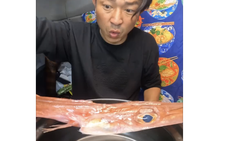 It’s just painful to watch: Content creator cooks Vietnamese ‘pho’ with fish stock