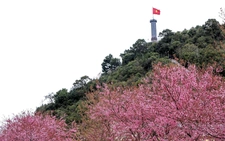 Breakfast @ Tuoi Tre News — December 31