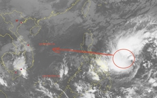New storm likely to enter East Vietnam Sea this weekend, may impact central region