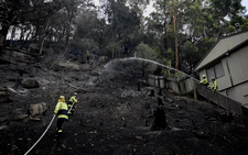Australia activates disaster relief for wildfire-hit New South Wales state
