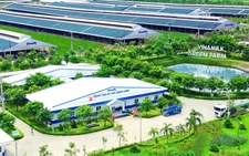 Doanh thu 2024 gần 62.000 tỷ đồng, thù lao Vinamilk trả cho HĐQT đa số đi ngang