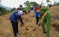 Hưởng ứng Tết trồng cây, hỗ trợ trồng 20ha rừng
