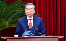 Vietnam to have 34 provincial-level units after merger: Party General Secretary To Lam