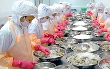 Cổ đông phản ứng về thuế, lãnh đạo công ty tôm nói gì?