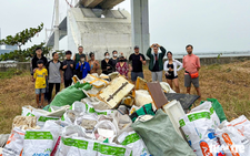 Foreigners join locals to clean up streets, beaches in Da Nang