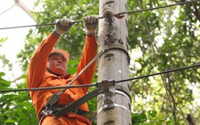 Cuộc thi clip ‘50 năm - Tỏa sáng miền Nam’: Điện lực Lâm Đồng đồng hành với địa phương
