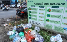 Rác chưa phân loại, vứt bỏ trên vỉa hè ở Hà Nội 'bất chấp' biển cảnh báo