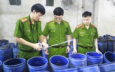 Bên trong xưởng sản xuất 3.500 tấn giá đỗ 'ngậm' hóa chất
