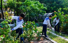 Đến năm 2027 sẽ trồng 1 triệu cây phủ xanh toàn bộ quần đảo Trường Sa