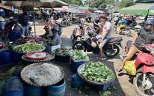Bà nội trợ lo lắng sau vụ công an bắt 3.500 tấn giá đỗ ngâm hóa chất